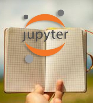 Search SEC Using Jupyter Notebook - Large